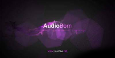 Скачать After Effect project Audioborn 128824 бесплатно